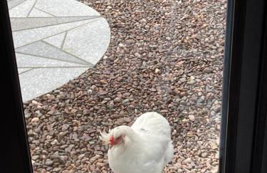 The Hive at Bee Happy Breaks Scotland - Photo 3