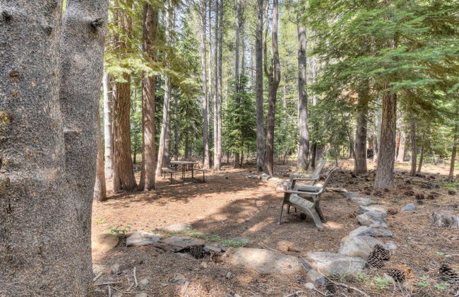 Glacier Forest Getaway HOA Access! - Foto 24