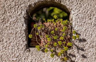 Filoxenia- Drakia - Foto 7