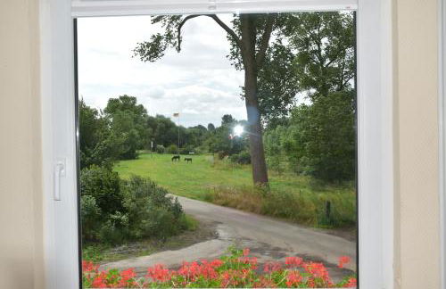 Inselhof Steengrafe - Weserblick - Foto 3