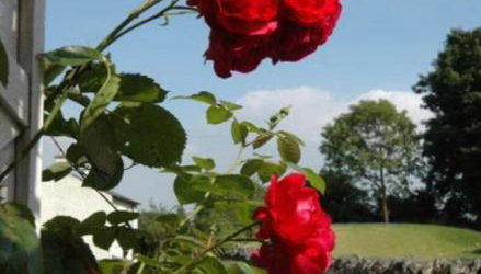 Inglenook Cottage - Foto 4