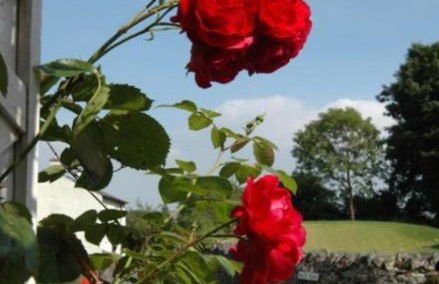 Inglenook Cottage - Foto 4