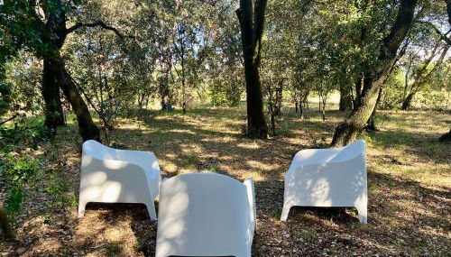 Maisonnette avec petite forêt - Foto 5, Garden, Garden view