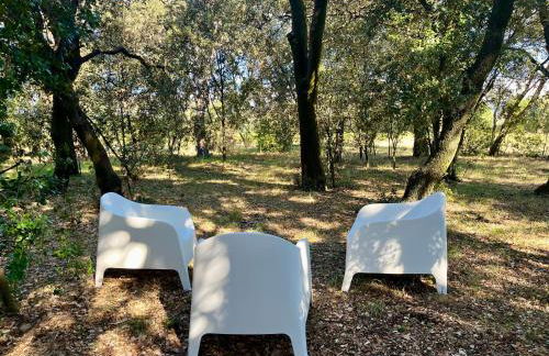 Maisonnette avec petite forêt - Foto 5