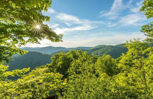 2 Cabins ~ Sleeps 22 ~ 100 Feet Apart ~ Ski in out - Foto 71