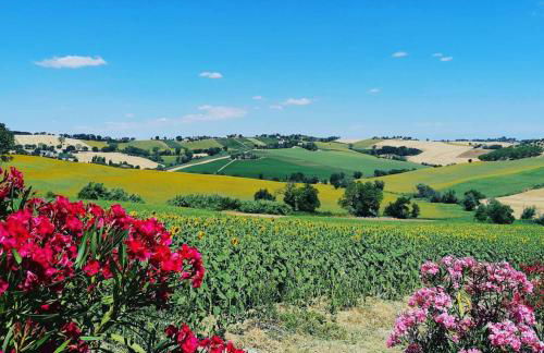 Il Giardino nella Valle - Foto 8
