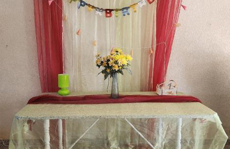 Solar Rubina - Piscina Água Salgada - Foto 9