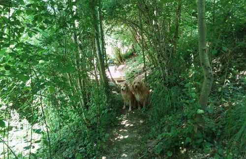 Le Domaine Enchanté - Photo 18