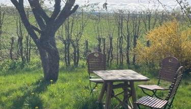Ferienwohnung Storchenwiese im Fränkischen Seenland - Foto 2