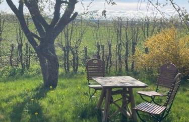 Ferienwohnung Storchenwiese im Fränkischen Seenland - Foto 2