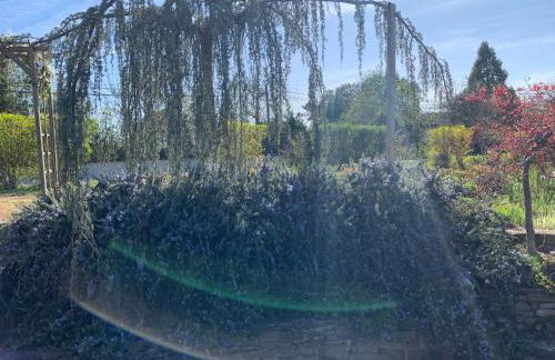 La Grenouillère - Foto 11