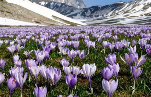 Il Pagliarello di Villa San Giovanni - Foto 24