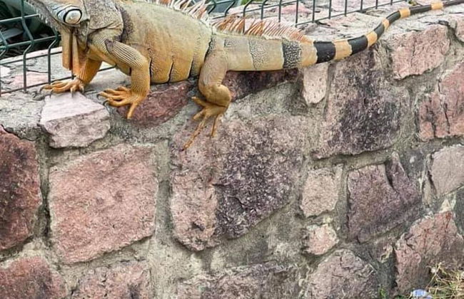 Penthouse María Bonita - Foto 44