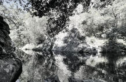 M Butterfly - Foto 49