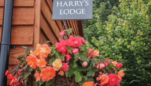 Harry's Lodge - Foto 4