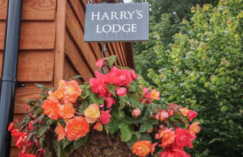 Harry's Lodge - Foto 4