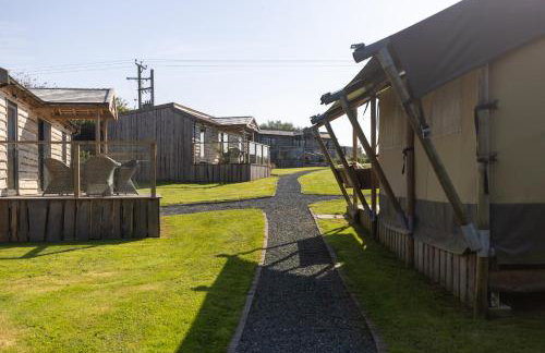 The Pig Arc - Foto 68