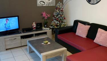 L Édelweiss et sa piscine - Foto 3