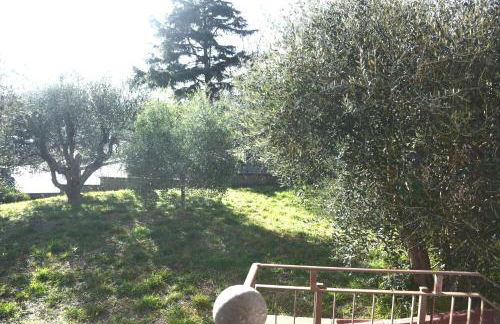 La Bouganville - Foto 14