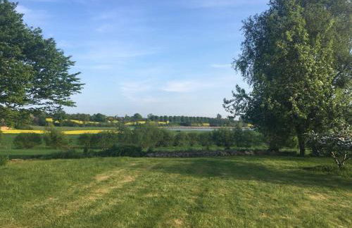 Schlei-Garten - Foto 17