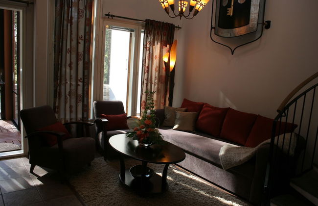 Vuokatin Aateli Castle - Foto 29