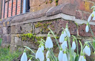 The Chapel, Dummer - Foto 7