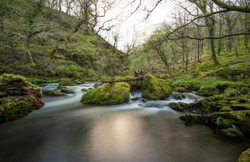 Charming Riverside Cottage in Snowdonia National Park - Foto 30