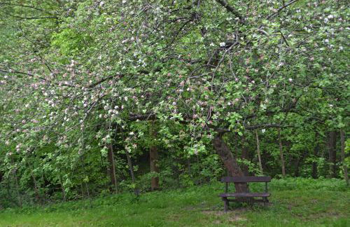 Na końcu świata - Foto 50