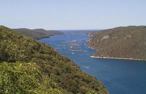 Apartment Asparagus - Photo 27