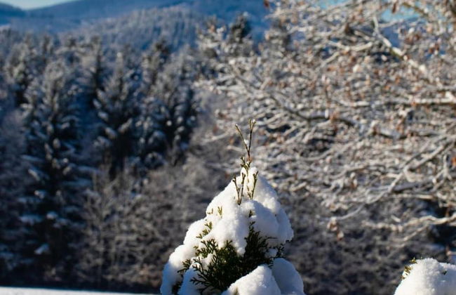 Bungalow in Waldbrunn - Foto 33