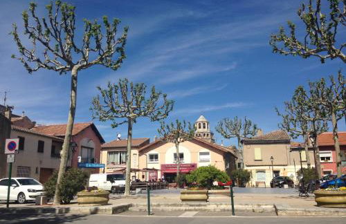 The Willow Tree - Photo 29