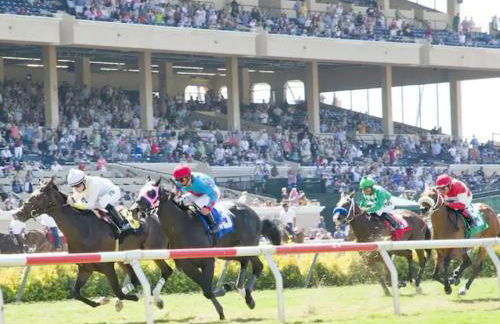 Amazing Location - Large and Luxurious 1 Bedroom Beach Condo By Beaches and Attractions - Foto 3