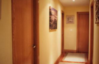 Txanpardin - Foto 19