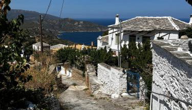 Papous house - Photo 2