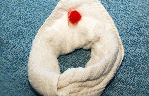 Magica Bologna - Foto 13