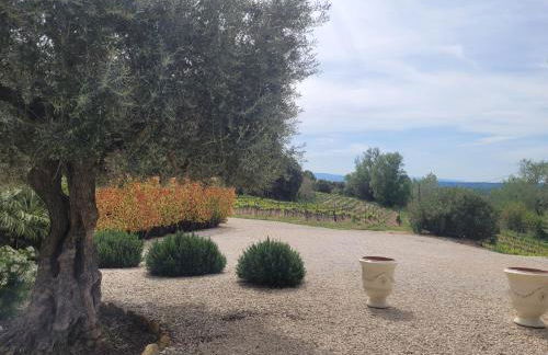 Mas du Tilleul - Foto 36