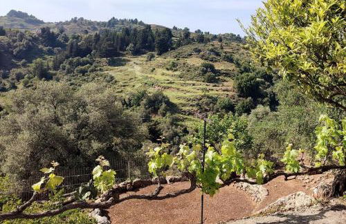 Aoria Traditional House With Stuning Mountain View - Foto 25