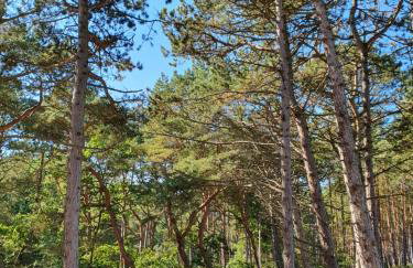 Domki Przy Tężni - Foto 40