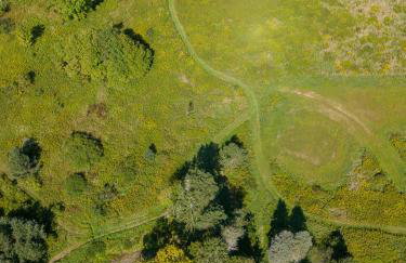 Chambers Hollow - Foto 44