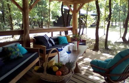 Domaine D'Erras -colibri - - Foto 22