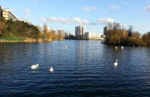 La Charmille du Lac - Foto 35