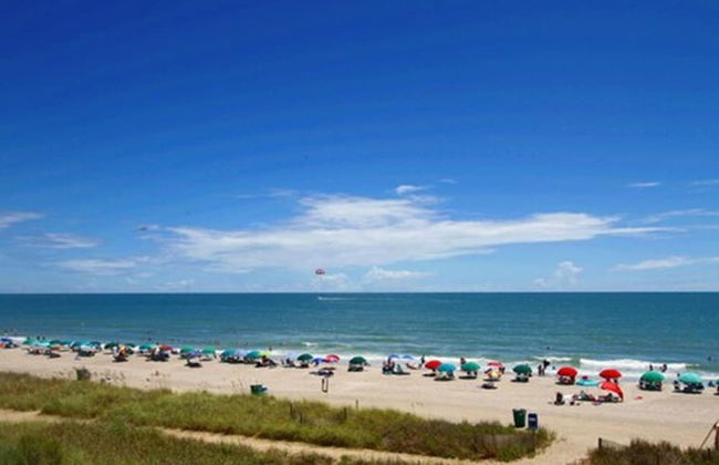 Regency Towers - Foto 29