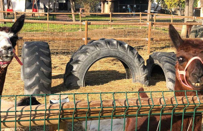 La Manreana Ticket - Photo 1