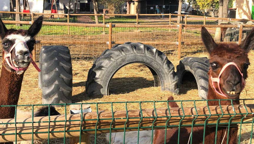 Ingresso da fazenda escola La Manreana