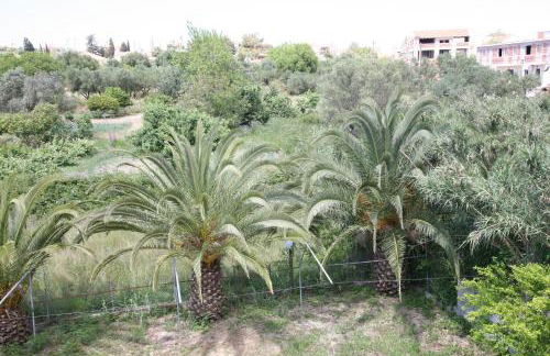 Ammousa Hotel Apartments - Foto 68