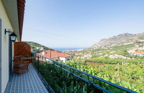 Quinta da Saraiva - Foto 20