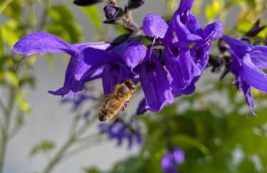 L'échappée créative - Foto 10