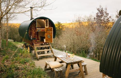 Goldfinch - Photo 13