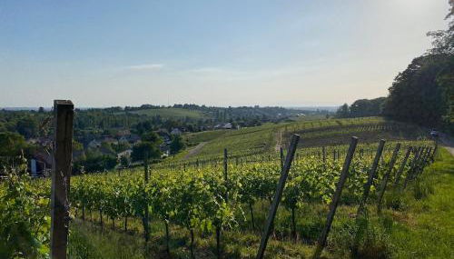 3 Zimmer Whg Reblandliebe, Nähe Europapark, Straßburg, Weinberge - Foto 2