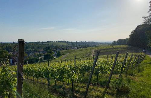 3 Zimmer Whg Reblandliebe, Nähe Europapark, Straßburg, Weinberge - Foto 2